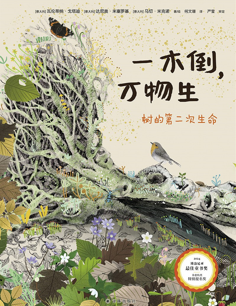 Fallen. The Second Life of Trees